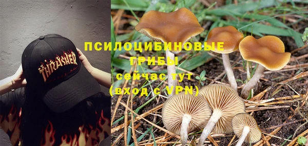 шишки Нязепетровск