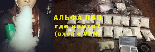 гидра Няндома