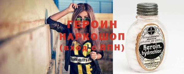 гидра Няндома