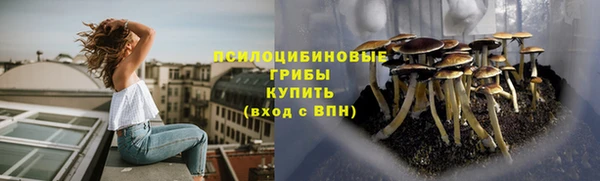 гидра Няндома