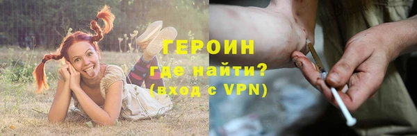 гидра Няндома