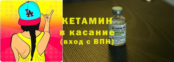 гидра Няндома