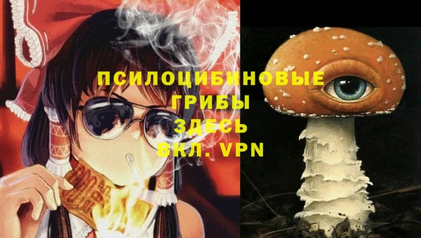 шишки Нязепетровск