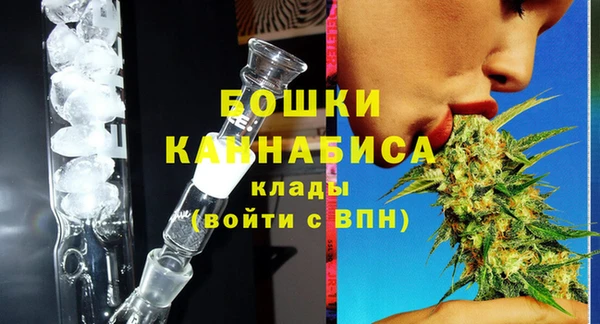 гидра Няндома