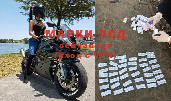 гидра Няндома