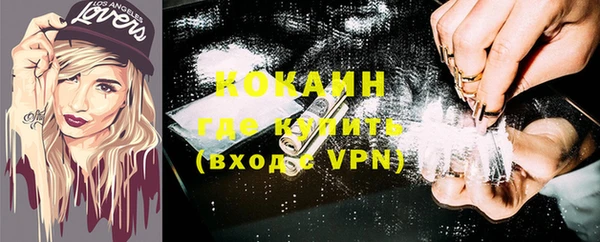 гидра Няндома