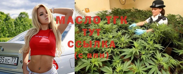 гидра Няндома