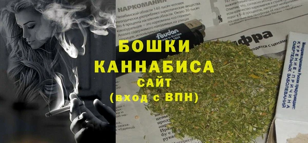 СК Новодвинск