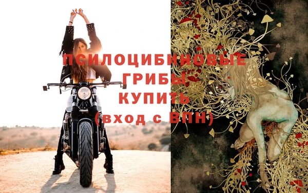 шишки Нязепетровск