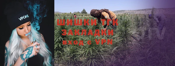 СК Новодвинск