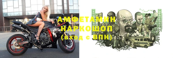 гидра Няндома