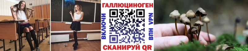 мега ССЫЛКА  купить наркотик  Советская Гавань  Галлюциногенные грибы Psilocybine cubensis 