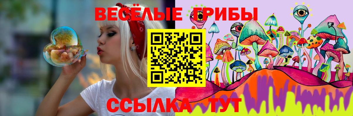 Советская Гавань  Галлюциногенные грибы прущие грибы  Псилоцибиновые грибы MAGIC MUSHROOMS  Вход с VPN 