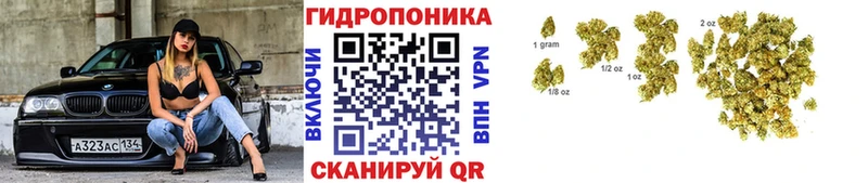 Бошки марихуана гибрид  Советская Гавань 